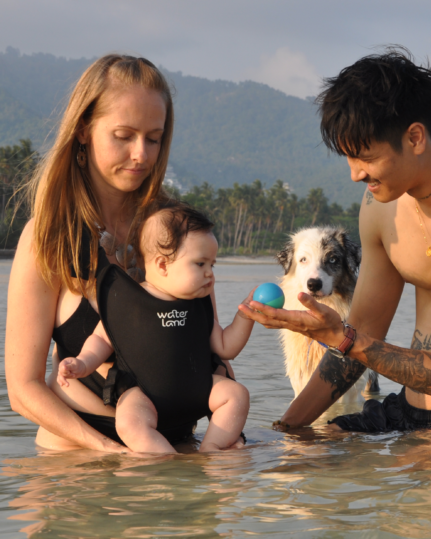 The Water & Land Baby Carrier